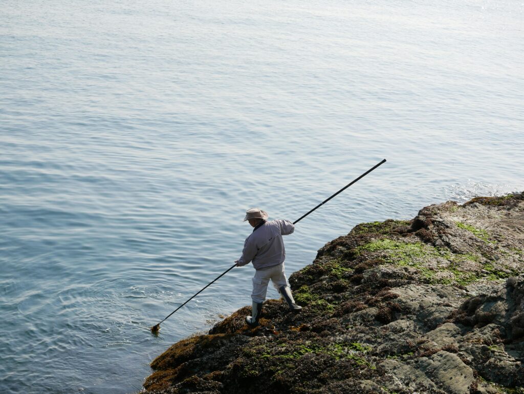 南部梅林、31日开园