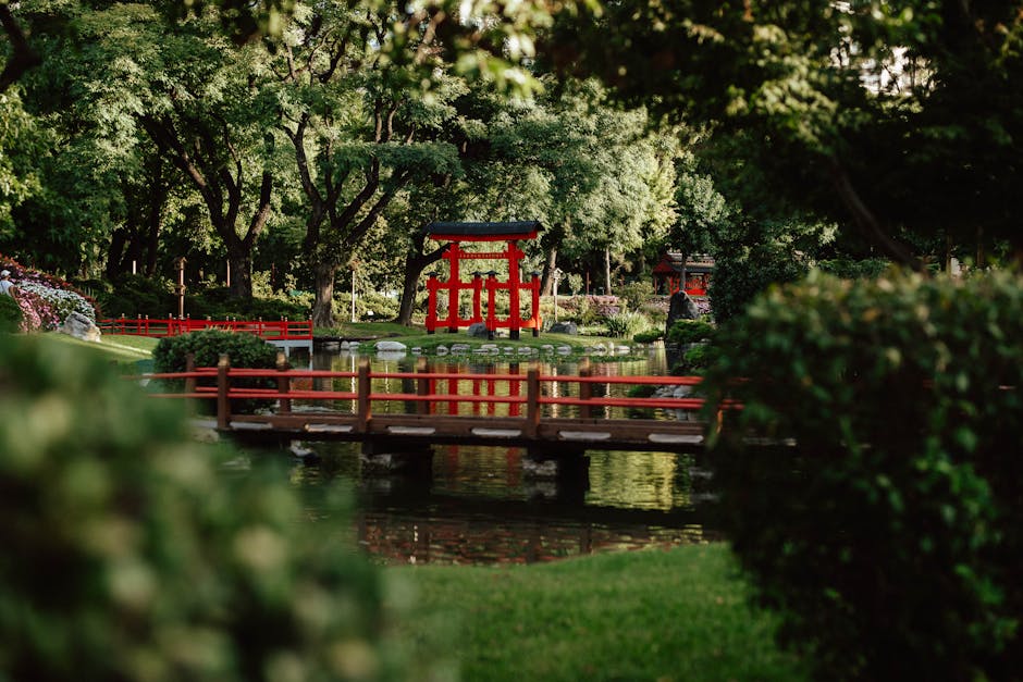外国人在日身份是否影响购房?(辟谣:不影响) 外国人在日身份是否影响购房?(辟谣:不影响)