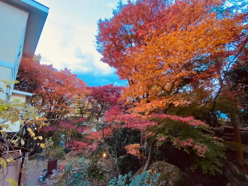 西宮市甲陽園山王町生活圈|阪急甲陽線甲陽園站徒歩11分・3LDK・土地面積473.33坪建物面積50.09坪庭院車位充足 西宮市甲陽園山王町生活圈|阪急甲陽線甲陽園站徒歩11分・3LDK・土地面積473.33坪建物面積50.09坪庭院車位充足